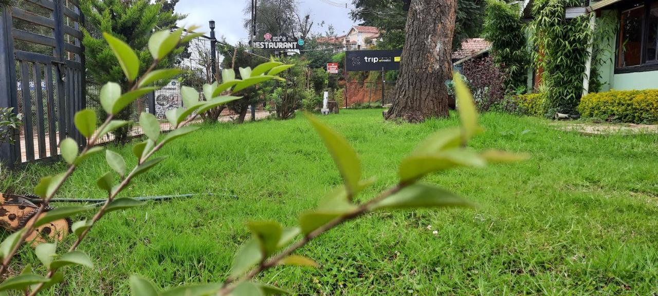 אוטי Itsy By Treebo - Rosefield Heritage מראה חיצוני תמונה